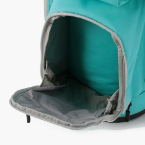 BRG221D55　AQUA　